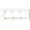 new6M Face & Mtg Plate - 9131006000.webp